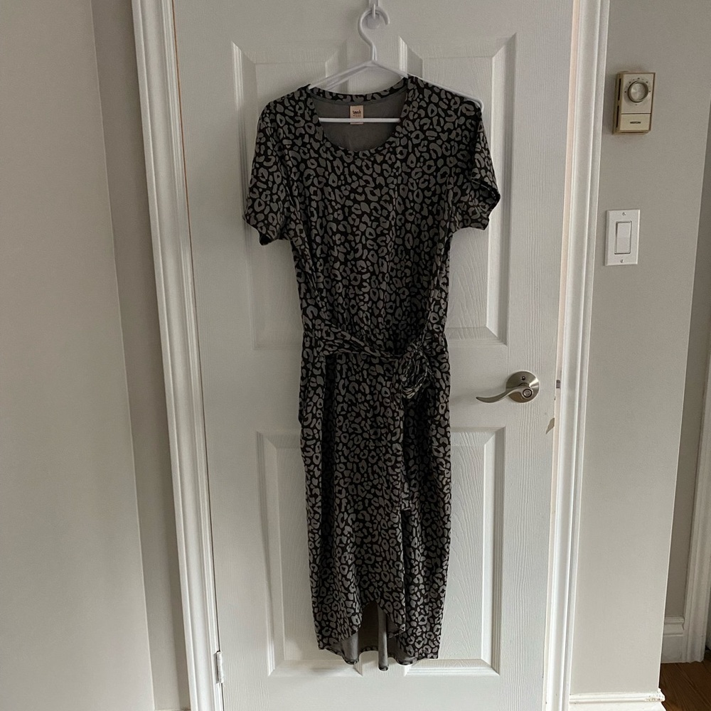 Smash and Tess leopard print dress (L)